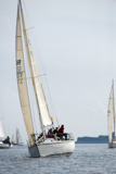 whyw13 sun 0934